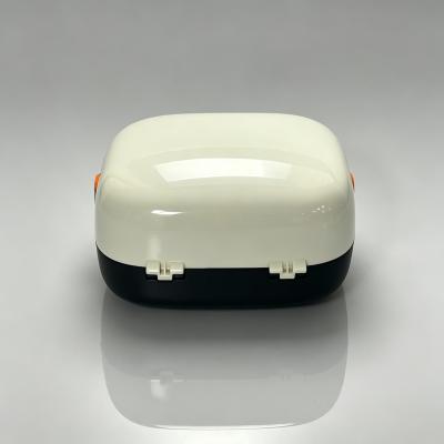 北极光